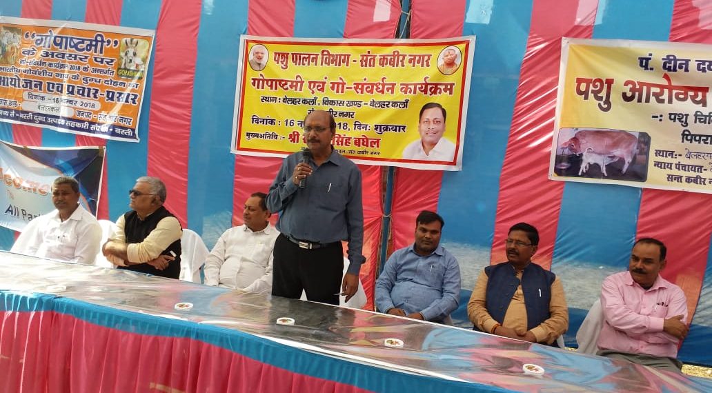 मेहदावल: विधायक राकेश सिंह बघेल ने गो पूजन करके पशु आरोग्य मेला का किया शुभारंभ