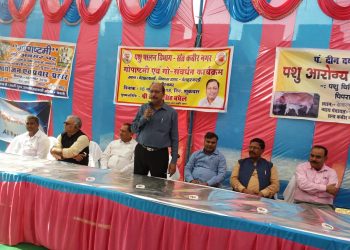 मेहदावल: विधायक राकेश सिंह बघेल ने गो पूजन करके पशु आरोग्य मेला का किया शुभारंभ