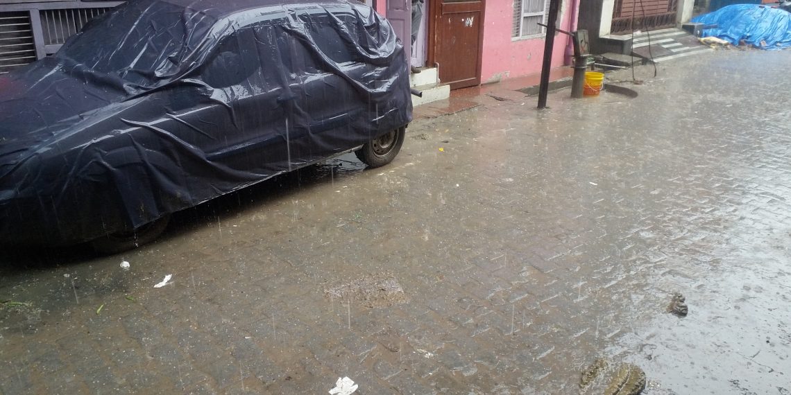 महराजगंज: नौतनवां और बृजमनगंज में बारिश के दौरान पड़े मटर के दानों से बड़े ओले