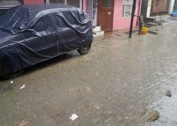 महराजगंज: नौतनवां और बृजमनगंज में बारिश के दौरान पड़े मटर के दानों से बड़े ओले