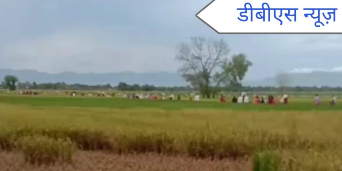 महराजगंज: ठूठीबारी के पगडंडियों के रास्ते हो रही प्याज की तस्करी प्याज की तस्करी में पुरूष के साथ साथ महिलाएं व बच्चे भी शामिल