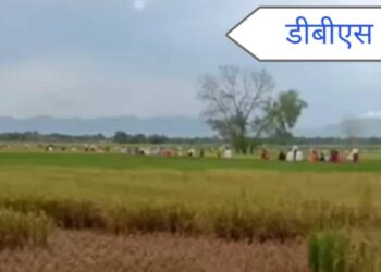 महराजगंज: ठूठीबारी के पगडंडियों के रास्ते हो रही प्याज की तस्करी प्याज की तस्करी में पुरूष के साथ साथ महिलाएं व बच्चे भी शामिल