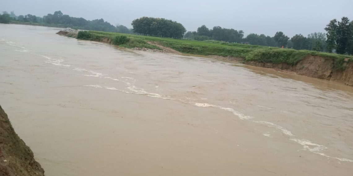 कहीं समस्या का सबब न बन जाए भारी बारिश