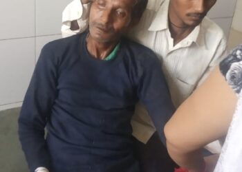 बृजमनगंज: मिश्रौलिया गांव में सर्प पकड़ने गया था सपेरा, कोबरा नाग के डसने से हुई मौत