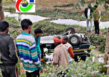 परसामालिक: बकरी बचाने के चक्कर में अनियंत्रित होकर टेंपो पलटी