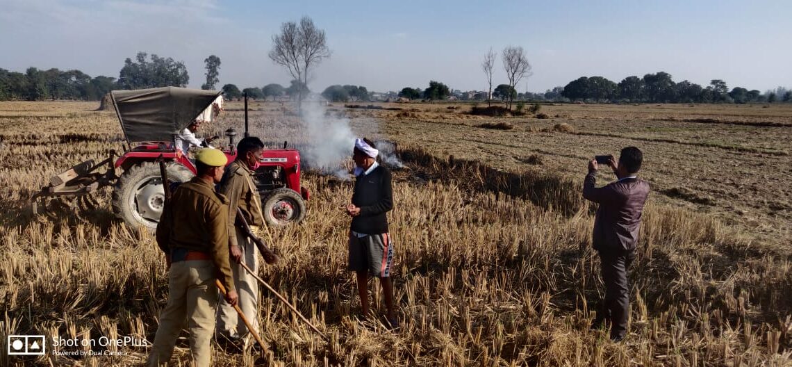 हरदी डाली में पराली जलाते दो धराये