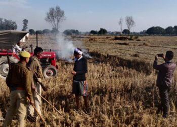 हरदी डाली में पराली जलाते दो धराये