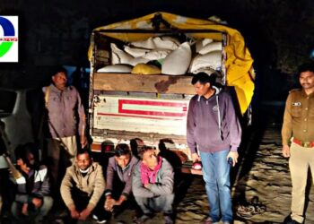 नौतनवां एसडीएम ने पकड़ी तस्करी में संलिप्त पिकप, कार और 85 बोरी कनाडियन मटर, सोशल मीडिया पर एसडीएम के बारे में लिखी गयी ये बात