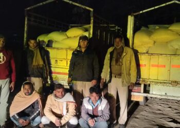 नौतनवां: एसडीएम के गश्त में धराये 3 तस्कर, 2 पिकअप से कनाडियन मटर की हो रही थी तस्करी