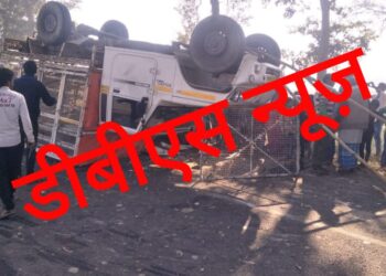 मुर्गी लदी पिकप अनियंत्रित होकर पलटी, कुछ देर बाद वही पेड़ से टकराई बरातियों से भरी बोलेरो