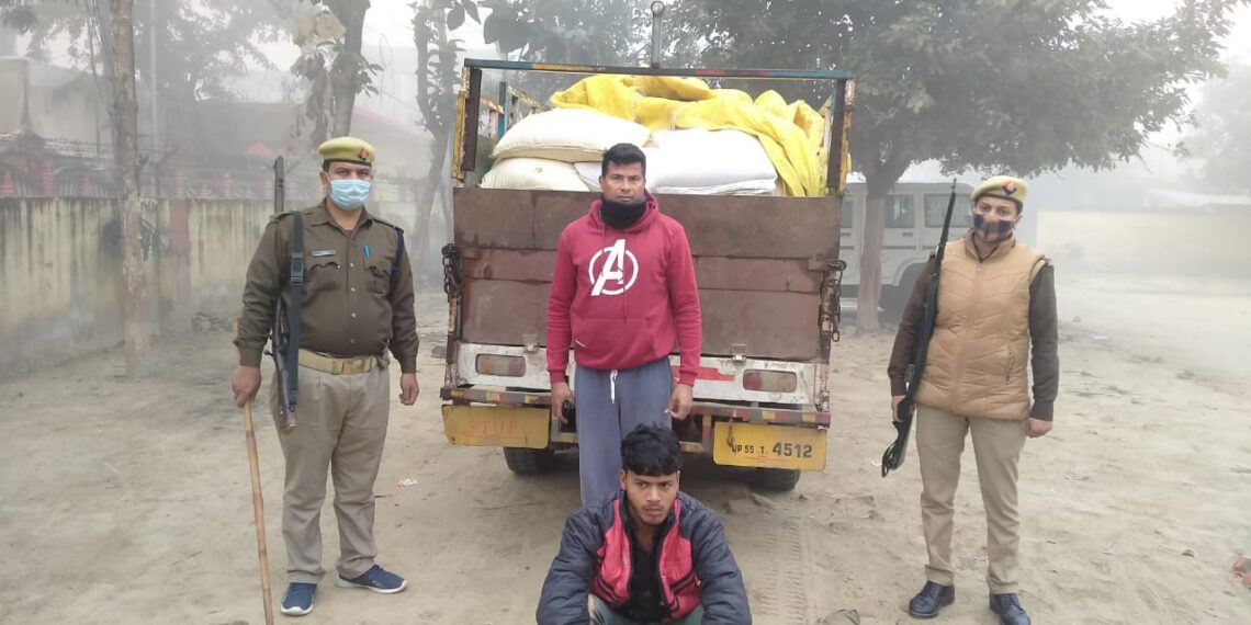 नौतनवां: सुबह शीत की आड़ में कर रहे थे मटर की तस्करी, एसडीएम ने पकड़ा