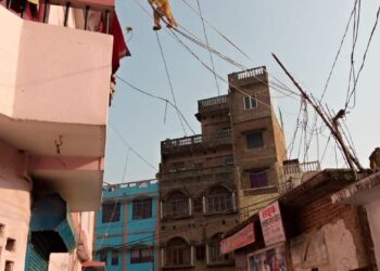 नौतनवा में बढ़ रहा बंदरों का उत्पात, क्या कहते हैं जिम्मेदार