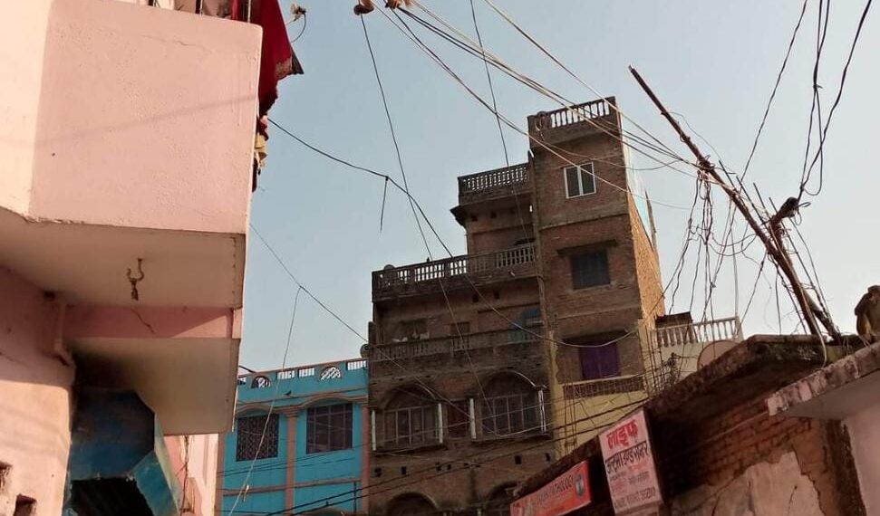 नौतनवा में बढ़ रहा बंदरों का उत्पात, क्या कहते हैं जिम्मेदार