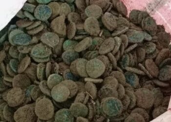 महराजगंज: बृजमनगंज में चल रहे नहर के खुदाई के दौरान प्राचीन सिक्के से भरा मिला घड़ा पुलिस ने लिया कब्जे में