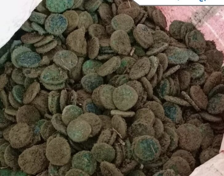 महराजगंज: बृजमनगंज में चल रहे नहर के खुदाई के दौरान प्राचीन सिक्के से भरा मिला घड़ा पुलिस ने लिया कब्जे में