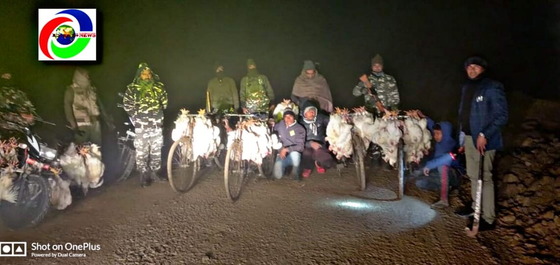 तस्करों में चर्चा! नौतनवां में टाइगर जिंदा हैं! सर्द रात में सैकड़ो मुर्गे की तस्करी का भंडाफोड़