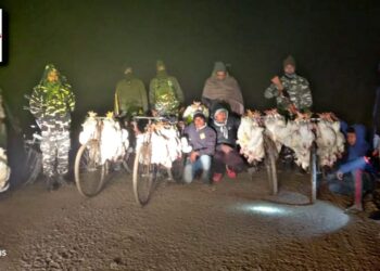 तस्करों में चर्चा! नौतनवां में टाइगर जिंदा हैं! सर्द रात में सैकड़ो मुर्गे की तस्करी का भंडाफोड़