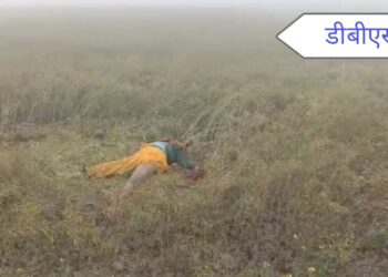 महराजगंज: हत्याओं से दहल रहा बृजमनगंज थाना क्षेत्र, सिर कटी मिली महिला की लाश, क्षेत्र में बना दहशत का माहौल, नहीं हो पा रही लाश की शिनाख्त