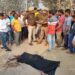 फरेंदा: पिकअप ने छात्र को रौंदा मौके पर हुई दर्दनाक मौत