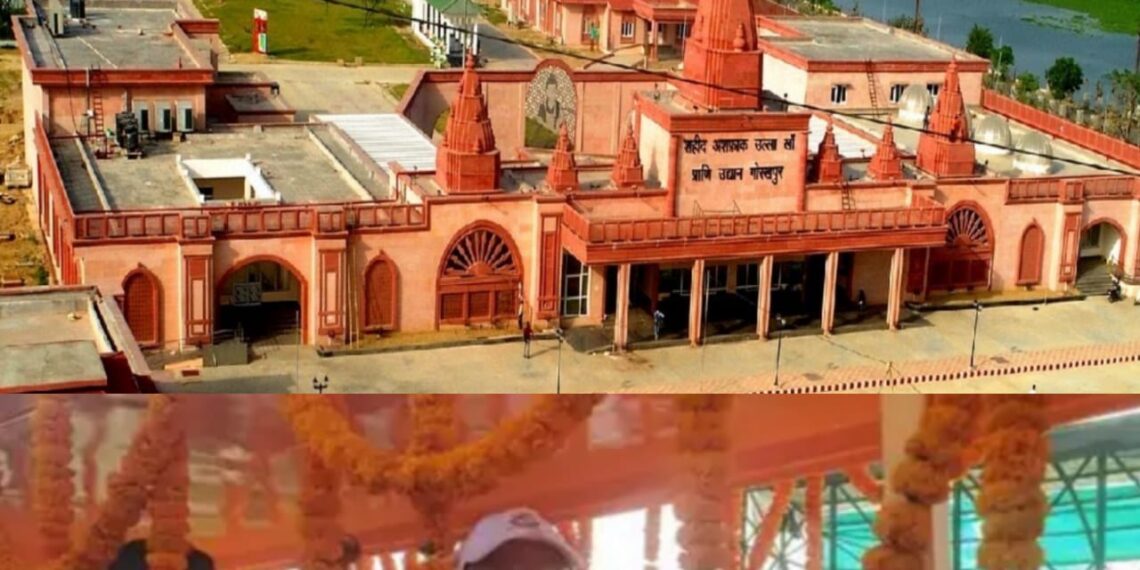 गोरखपुर चिड़ियाघर का बब्बर शेर, दरियाई घोड़ा, भालू, हिरण, तेंदुआ, गैंडा… बढ़ा रहे शोभा, सीएम योगी के उदघाटन के बाद आज से आमजन करेंगे सैर