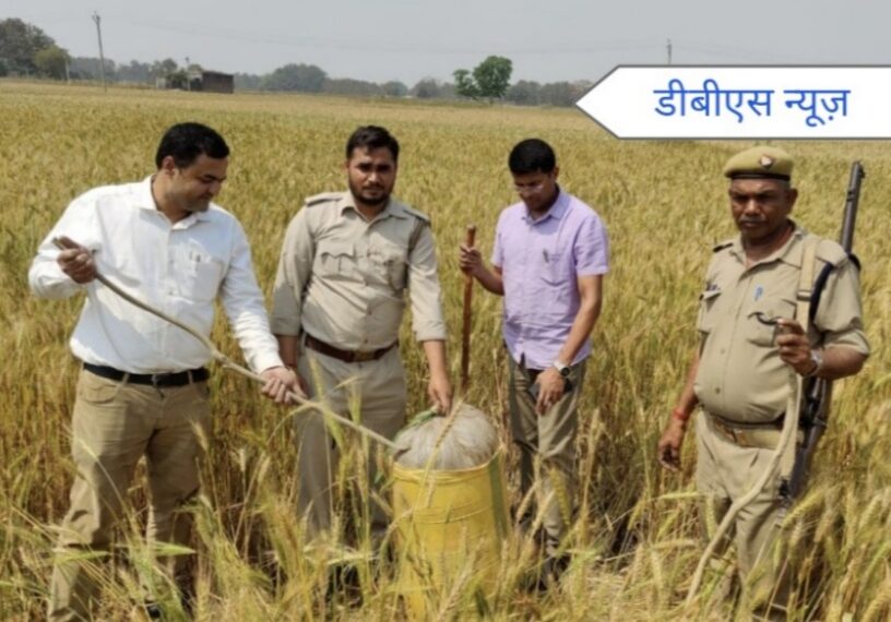 महराजगंज: नौतनवां के एसडीएम व सयुुंक्त टीम की छापेेमाारी मे 22 लीटर कच्ची शराब सहित 1100 लीटर लहन किया बरामद