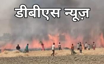 महराजगंज: अज्ञात कारणों से लगी आग, लगभग 6 एकड़ गेंहू की खड़ी फसल जलकर हुई राख