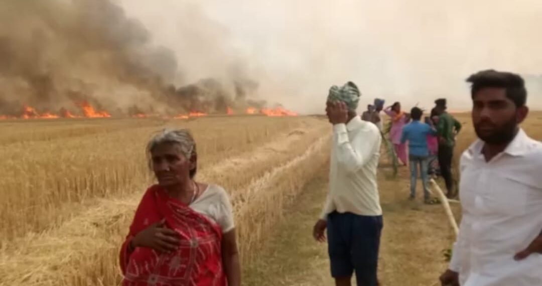 नौतनवां क्षेत्र में गेहूं की फसल में लगी भीषड़ आग, कई एकड़ की फसल हो गयी खाक
