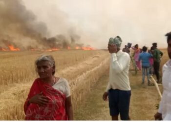 नौतनवां क्षेत्र में गेहूं की फसल में लगी भीषड़ आग, कई एकड़ की फसल हो गयी खाक