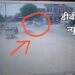 महराजगंज: बृजमनगंज मामी चौराहा पर पेट्रोल पंप के सामने 3 पलटी खाई बुलोरो, सीसीटीवी कैमरे में हुआ कैद, देखें