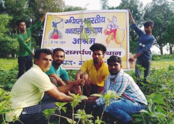 नौतनवां: युवावों ने वृक्षारोपण कर दिया वातावरण को ग्रीन बनाने का संदेश