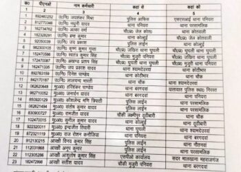 महराजगंज: पुलिस महकमे में बड़ा फेरबदल 11 उपनिरीक्षक सहित कुल 23 पुलिसकर्मियों का हुआ तबादला