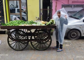 नौतनवां: नन्हे कंधों पर बड़ी जिम्मेदारी, देख हर कोई हो जाएगा हतप्रभ