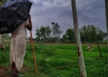 किसान सम्मान निधि: लाखों किसानों की लटकी है 2000 रुपये की किस्त, अगर आपने भी किया है ऐसा तो नहीं मिलेगा 9वीं किस्त का पैसा