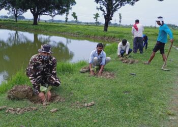एसएसबी ने किया वृक्षारोपण, बताया वृक्षों के बिना मानव जीवन अकल्पनीय