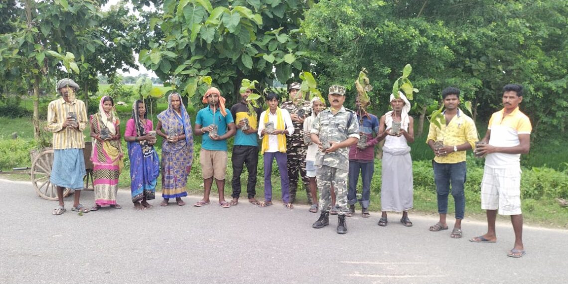 खनुवा: एसएसबी जवानों व प्रधान प्रतनिधि ने कराया पौधारोपण, पर्यावरण सुरक्षा की ली शपथ