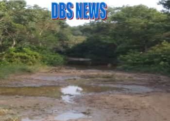 चौकिए मत साहब ये तालाब नहीं सड़क है?