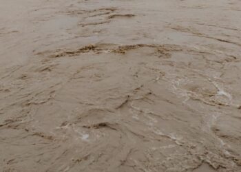 महाव नाला में आई बाढ़ ने बिशनपुरा में मचाया तबाही