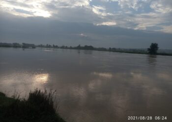 रोहिन नदी के बाढ़ के चपेट में टेढ़ी सहित कई अन्य गांव जलमग्न