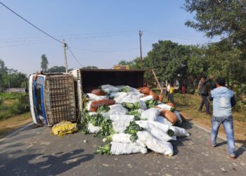 नौतनवां: सब्जी लदी ट्रक बीच सड़क पर पलटी