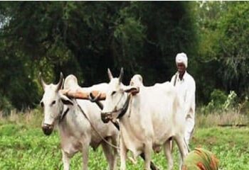 किसानों के लिए खुशखबरी आज खाते में क्रेडिट हो जाएंगे 4000 रुपये