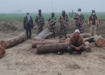 कोल्हुई: लकड़ी तस्कर को बोटों के साथ एसएसबी जवान ने दबोचा