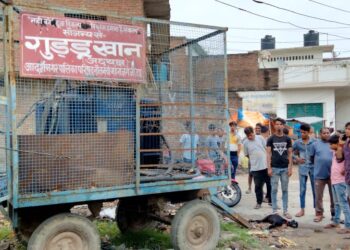 नौतनवां: करंट लगने से बकरी की मौत, अधिया पर बकरी लिया था संजय