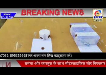 नौतनवां: चोरी की बाइक, तमंचा और कारतूस के साथ युवक गिरफ्तार