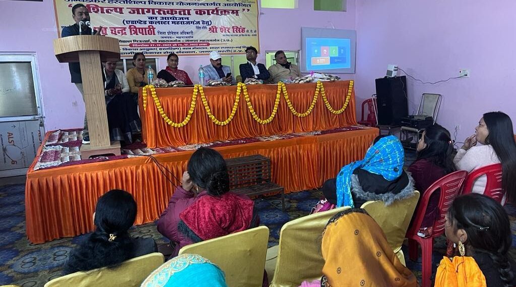 दो दिवसीय शिल्प जागरूकता कार्यक्रम का आयोजन, जीविका के संकट से उभरने को दिए गए टिप्स