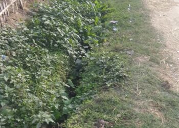 नौतनवां: सफाई कर्मियों के आभाव में नहीं हो पा रही नालियों की सफाई संक्रामक बीमारी फैलने की आशंका