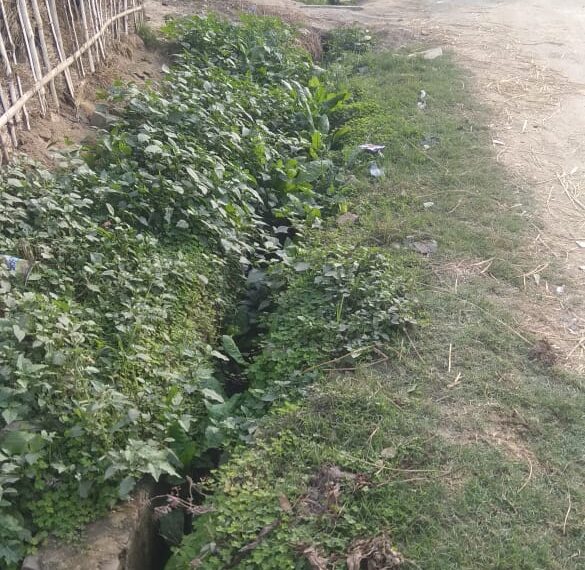 नौतनवां: सफाई कर्मियों के आभाव में नहीं हो पा रही नालियों की सफाई संक्रामक बीमारी फैलने की आशंका