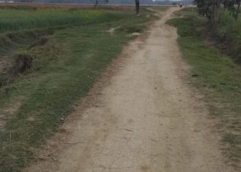 हरदी डाली: अभी भी दिख रही कच्ची सड़कें, निर्माण के आभाव में स्कूली बच्चों और राहगीरों की बढ़ रही मुश्किले