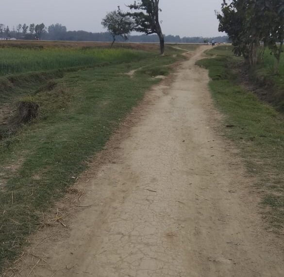 हरदी डाली: अभी भी दिख रही कच्ची सड़कें, निर्माण के आभाव में स्कूली बच्चों और राहगीरों की बढ़ रही मुश्किले