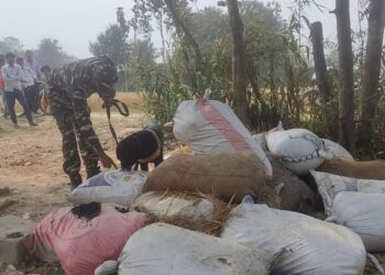 नौतनवां: सीमावर्ती गांव में बोरियो में मिली काले रंग की संदिग्ध वस्तुएं, एसएसबी की डॉग स्क्वायड की टीम कर रही है जांच, क्षेत्र में चर्चा का विषय