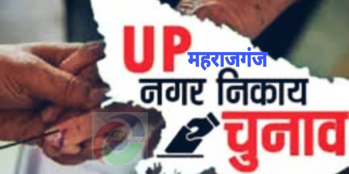 महराजगंज: जनपद में 5 बजे तक कुल 62.13% हुआ मतदान, घुघली में सबसे अधिक तो आनंदनगर में सबसे कम पोल हुआ वोट